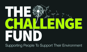 Challenge Fund Dark logo