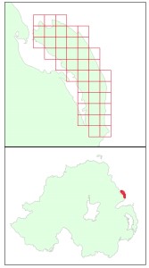 Islandmagee Bat Atlas Study Area