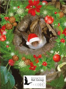 merry-christmas-from-the-northern-ireland-bat-group