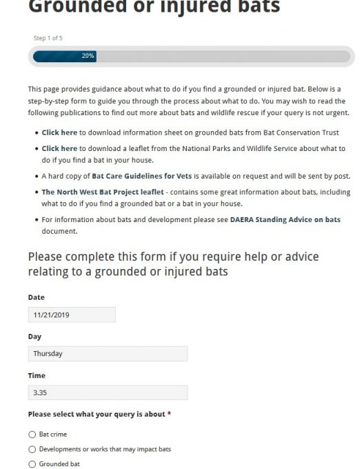 New bat query reporting system Northern Ireland Bat Group